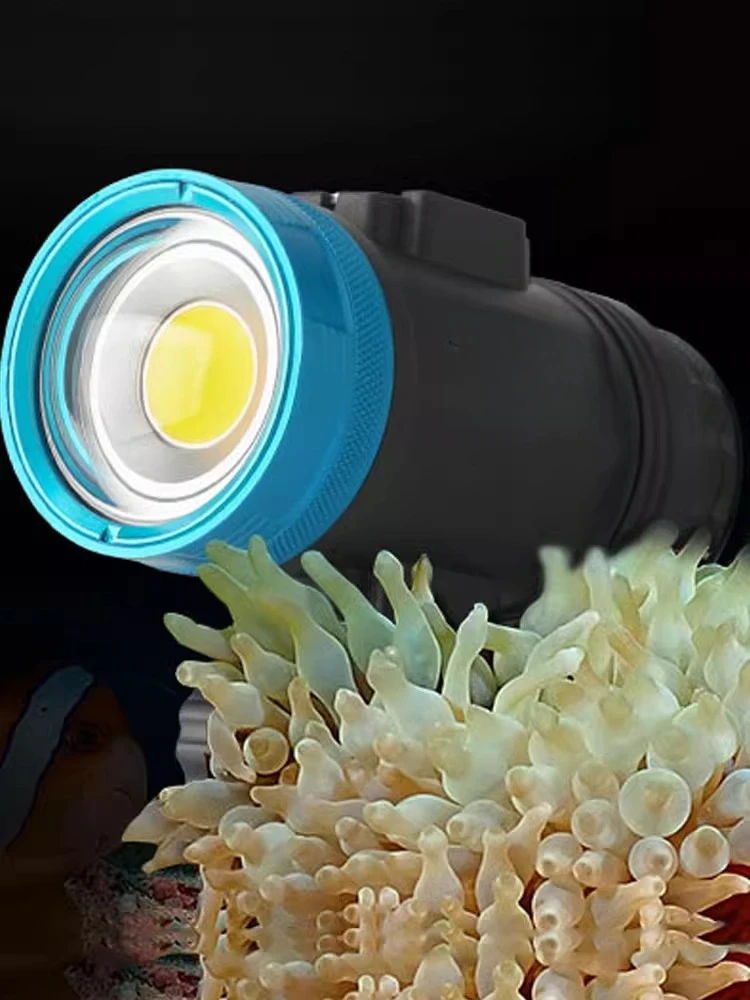 WF099SolarFlare7000S wide angl - مراجعة Photography Lighting Angles وسعره
