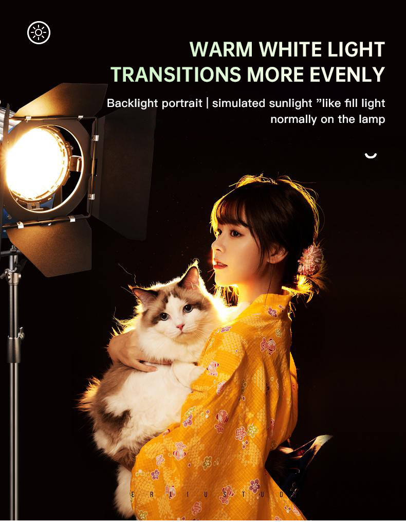 Beiyang 2000W Spotlight Hair L - مراجعة Portrait Photography With Lighting وسعره