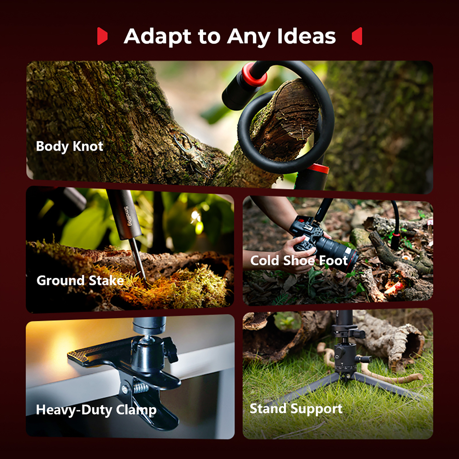 SmallRig RM 03 Macro Light wit - مراجعة Flower Photography Led Lighting Pack وسعره