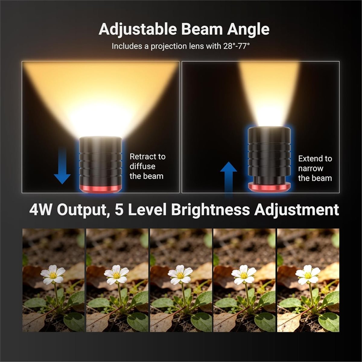 M05K LED Light for Macro Photo - مراجعة Photography Lighting Angles وسعره