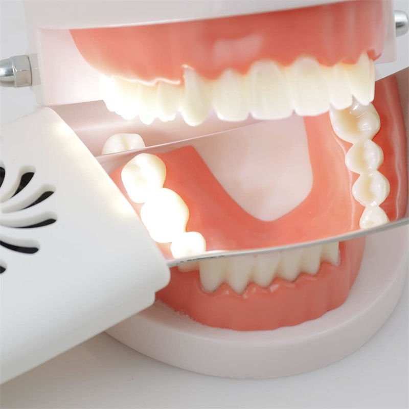 Dental Anti-Fog Mirrors With L - مراجعة Photography Lighting Reflector وسعره